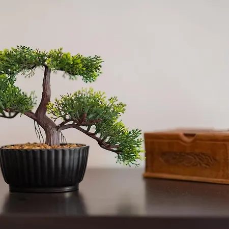 Mimosa Residenza *